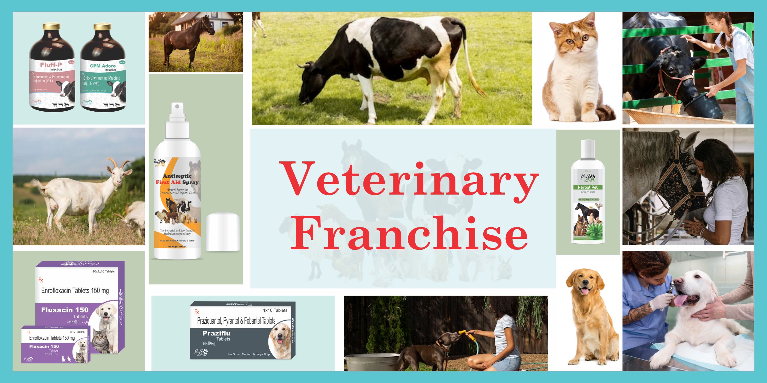veterinary Franchise Company