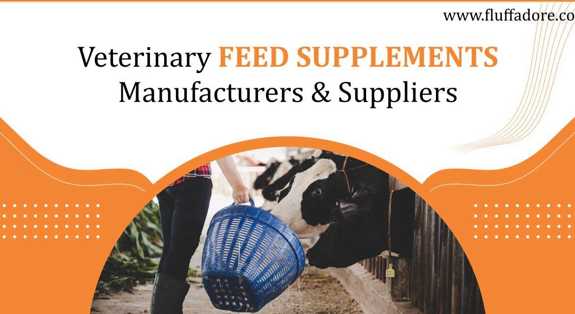 Animal Feeds Supplements Manufacturers and Suppliers In India