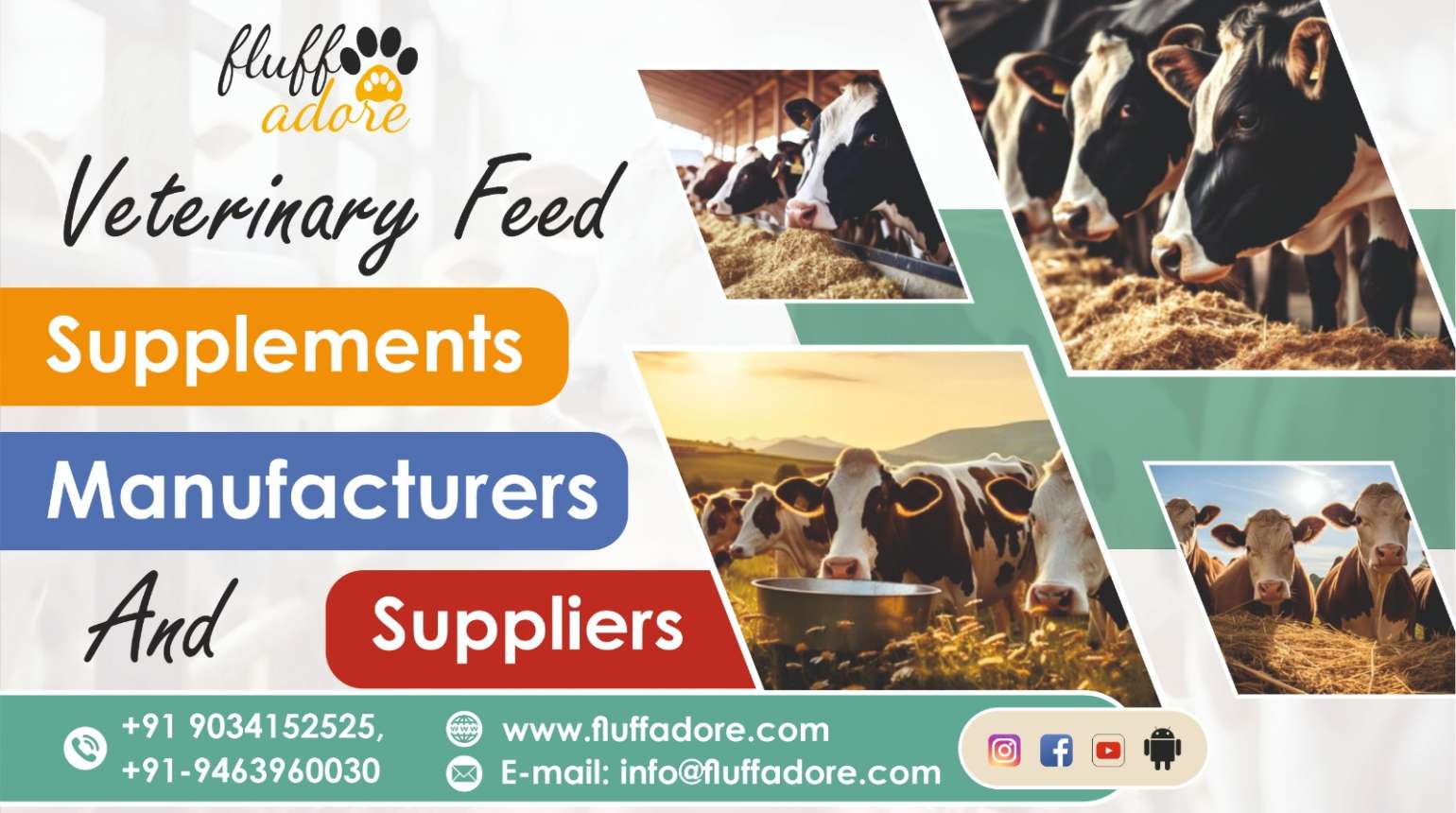Veterinary Feed Supplements Manufacturers and Suppliers