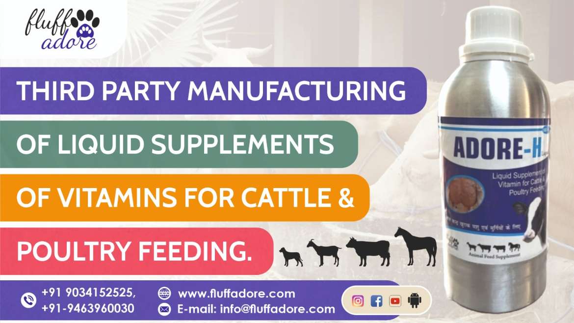 Liquid Supplements of Vitamins for Cattle & Poultry Feeding