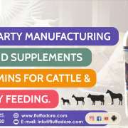 Liquid Supplements of Vitamins for Cattle & Poultry Feeding