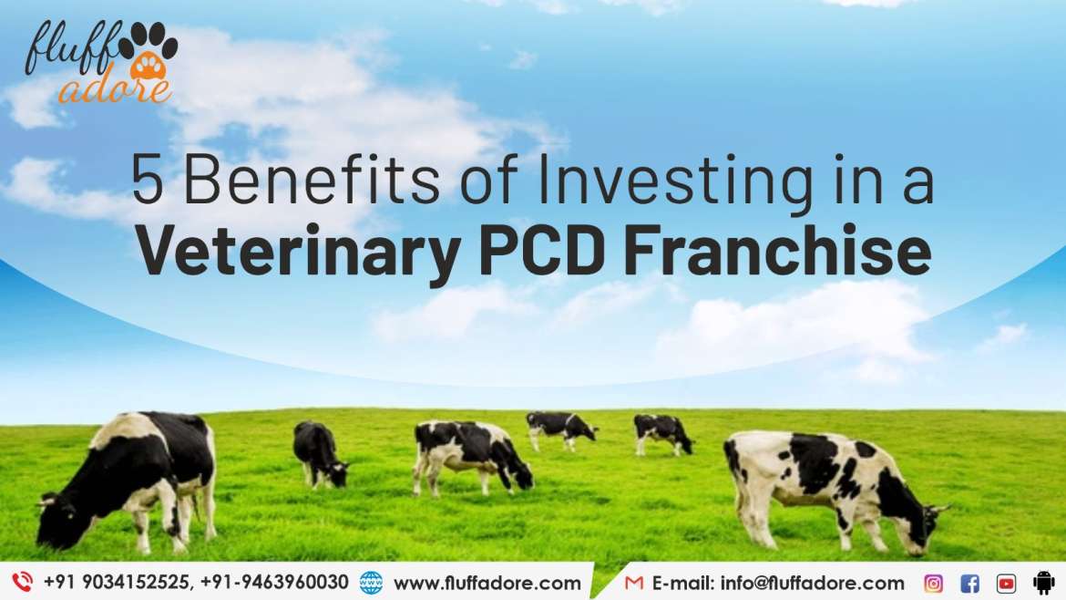 5 Benefits of Investing in a Veterinary PCD Franchise