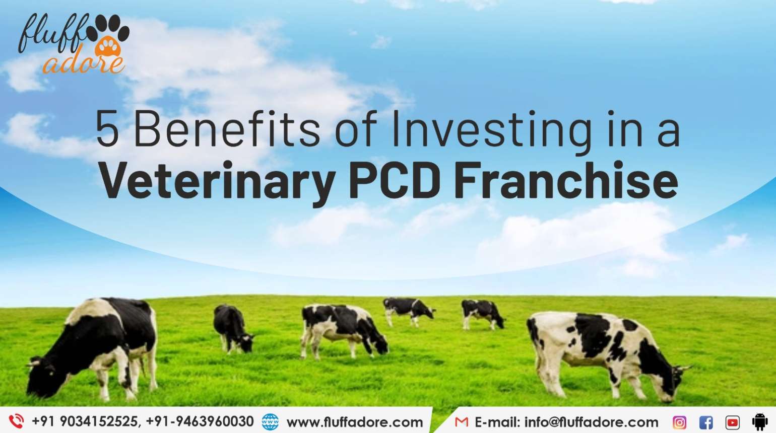5 Benefits of Investing in a Veterinary PCD Franchise