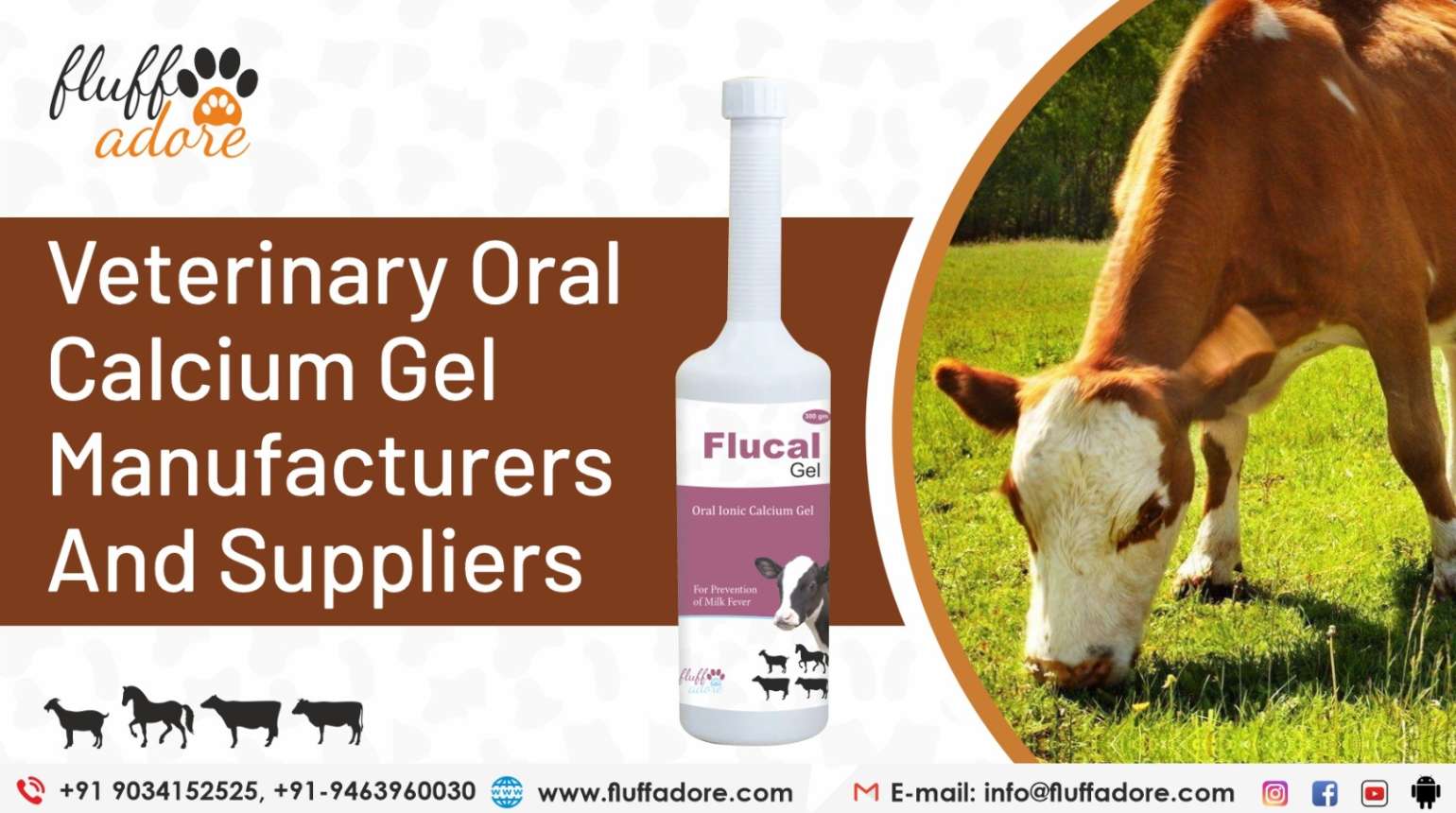 Veterinary Oral Calcium Gel Manufacturers and suppliers