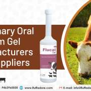 Veterinary Oral Calcium Gel Manufacturers and suppliers
