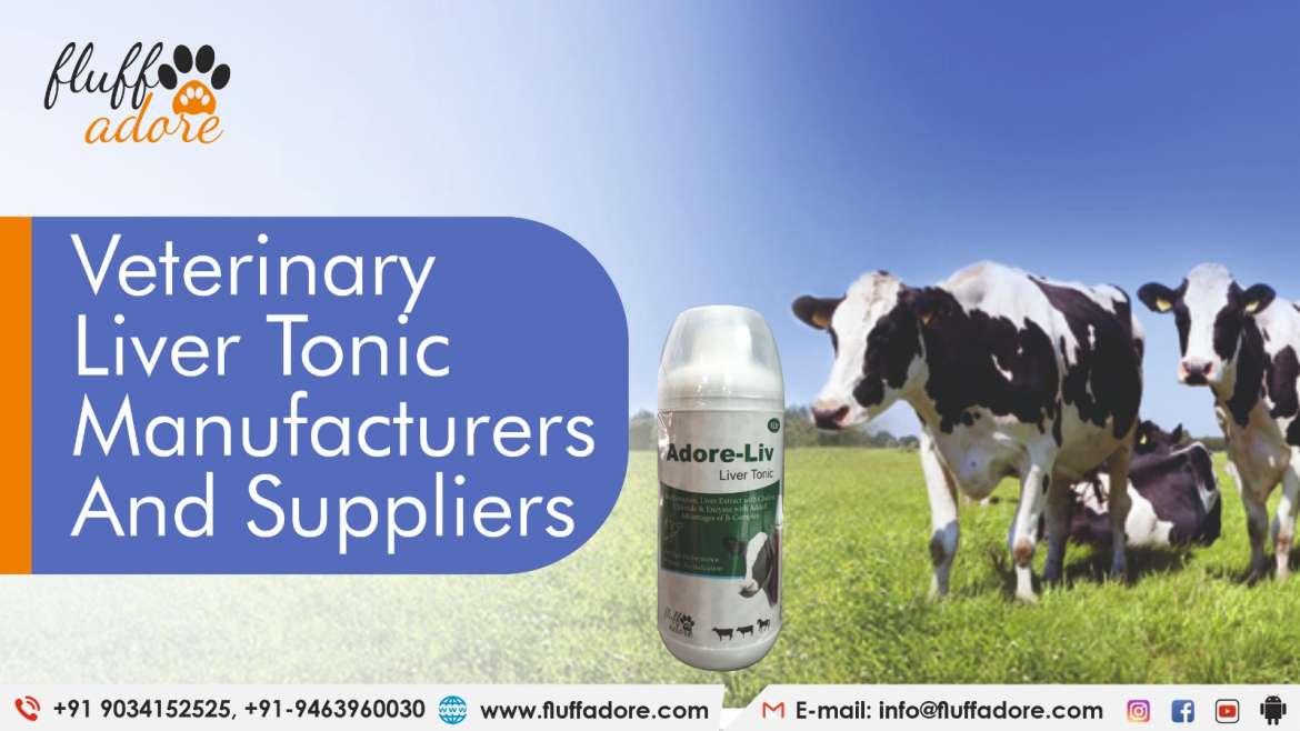 Veterinary Liver Tonic Manufacturers and Suppliers