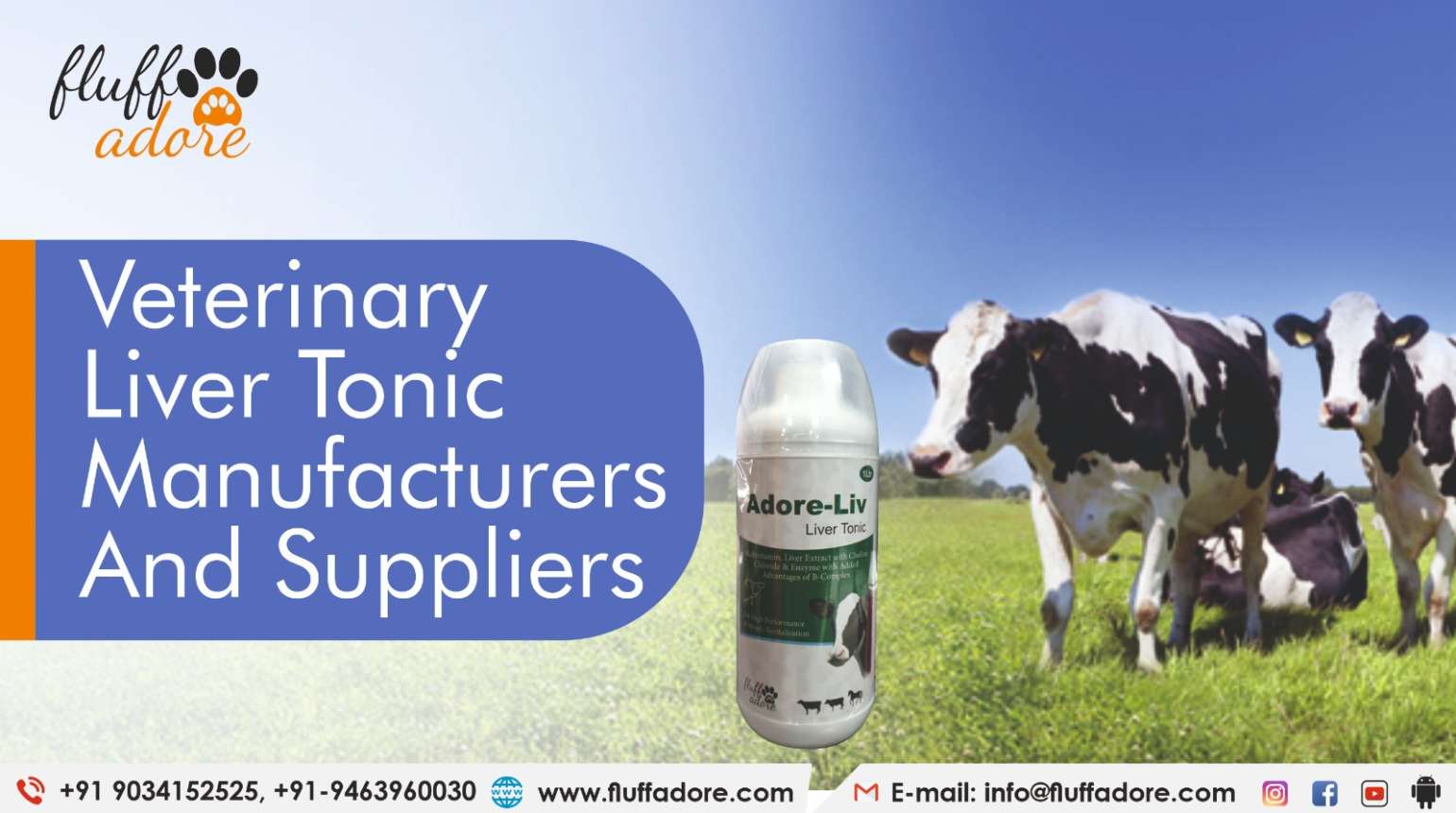 Veterinary Liver Tonic Manufacturers and Suppliers