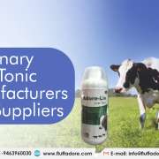Veterinary Liver Tonic Manufacturers and Suppliers
