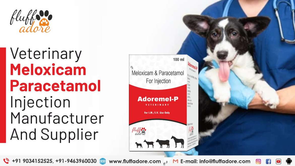 Veterinary Meloxicam Paracetamol Injection Manufacturers and Suppliers