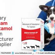 Veterinary Meloxicam Paracetamol Injection Manufacturers and Suppliers