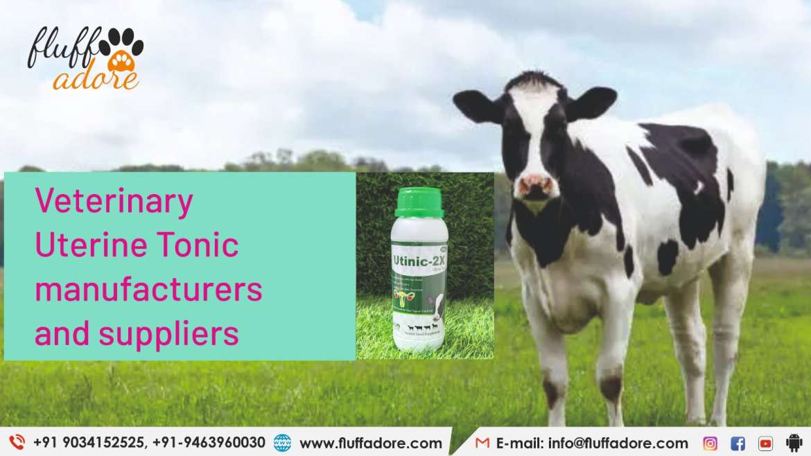 Veterinary uterine tonic manufacturers and suppliers