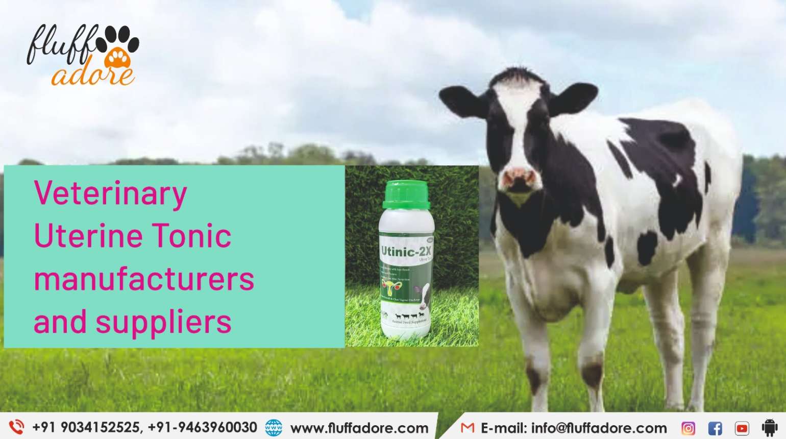 Veterinary uterine tonic manufacturers and suppliers