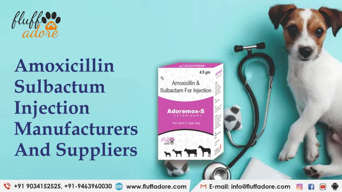 Amoxicillin Sulbactam Injection manufacturers and suppliers