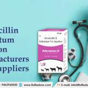 Amoxicillin Sulbactam Injection manufacturers and suppliers