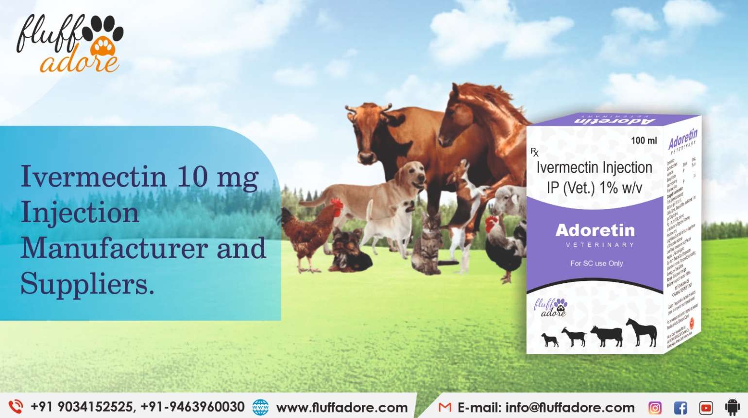 Ivermectin 10 mg Injection Manufacturer and Suppliers