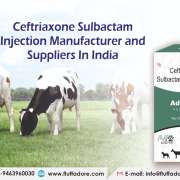 Ceftriaxone Sulbactam Injection Manufacturer and Suppliers In India