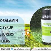 Methylcobalamin Vitamin C Syrup Manufacturers and Suppliers