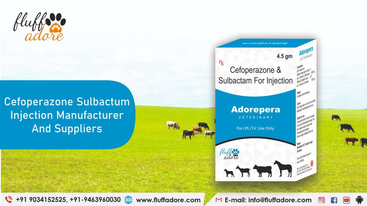 Cefoperazone Sulbactam Injection Manufacturers and Suppliers