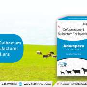 Cefoperazone Sulbactam Injection Manufacturers and Suppliers