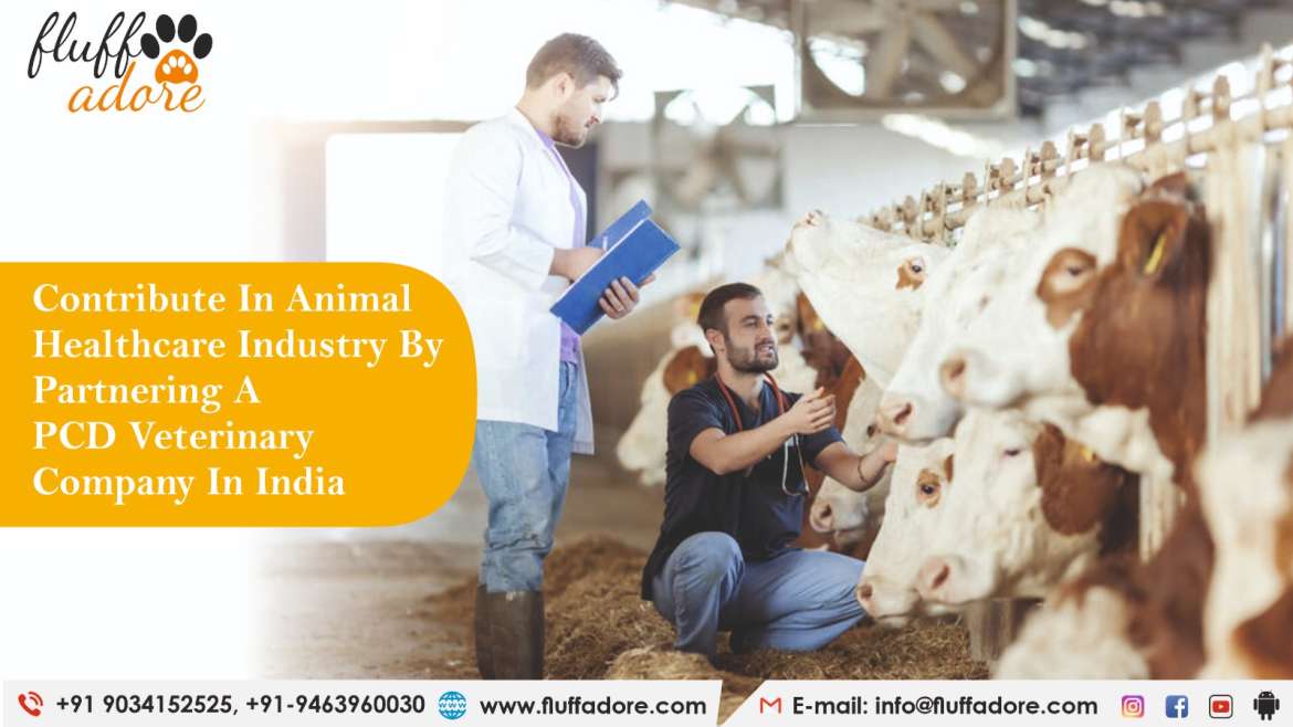 Contribute in Animal Healthcare Industry by Partnering a PCD Veterinary Company in India