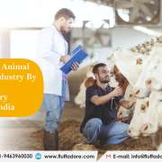 Contribute in Animal Healthcare Industry by Partnering a PCD Veterinary Company in India