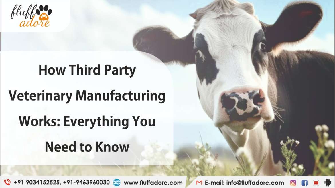 How Third Party Veterinary Manufacturing Works: Everything You Need to Know!