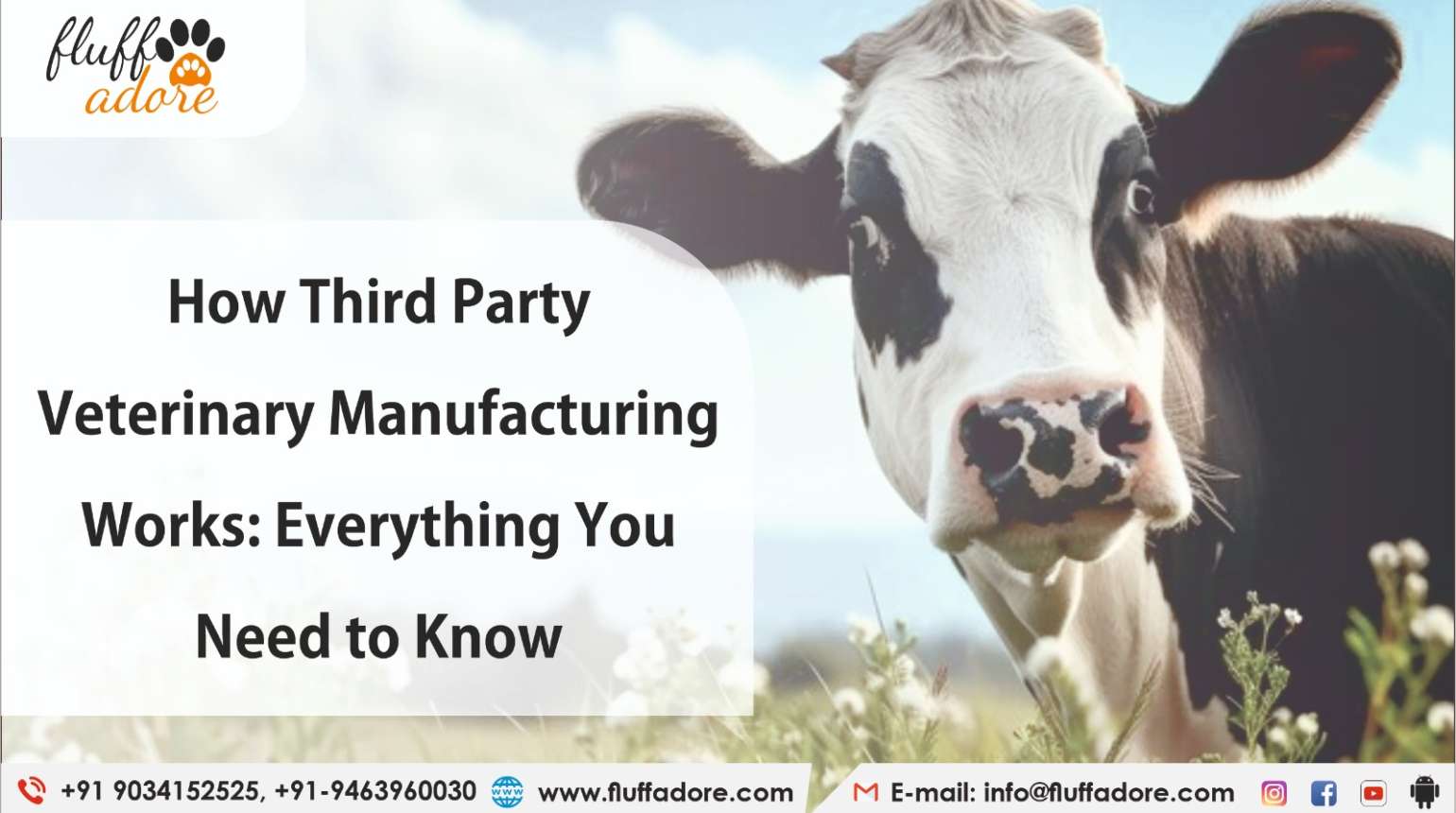 How Third Party Veterinary Manufacturing Works: Everything You Need to Know!