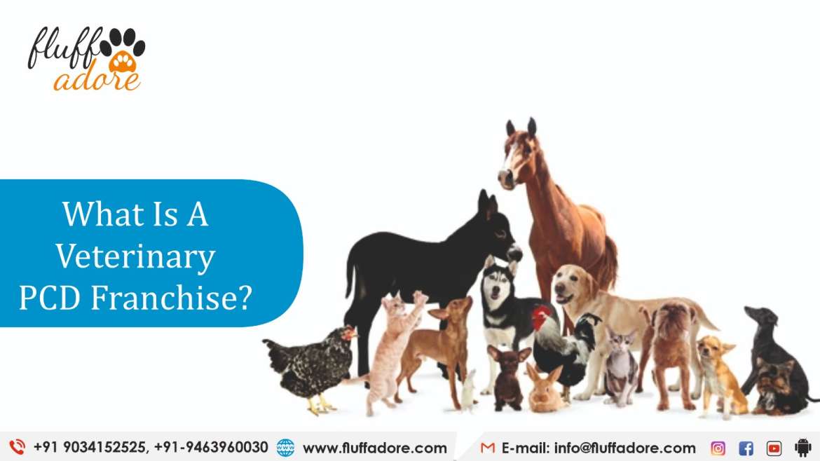 What is a Veterinary PCD Franchise Business?