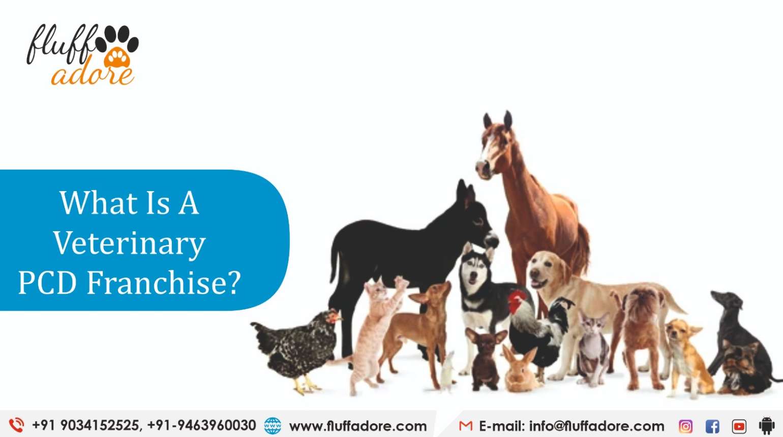 What is a Veterinary PCD Franchise Business?