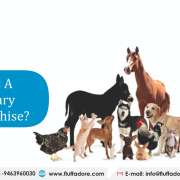 What is a Veterinary PCD Franchise Business?