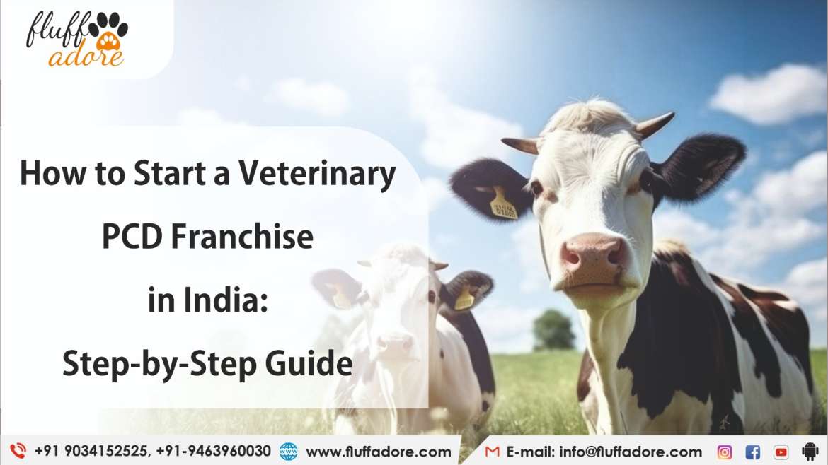 How to Start a Veterinary PCD Franchise in India: Step-by-Step Guide