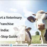 How to Start a Veterinary PCD Franchise in India: Step-by-Step Guide