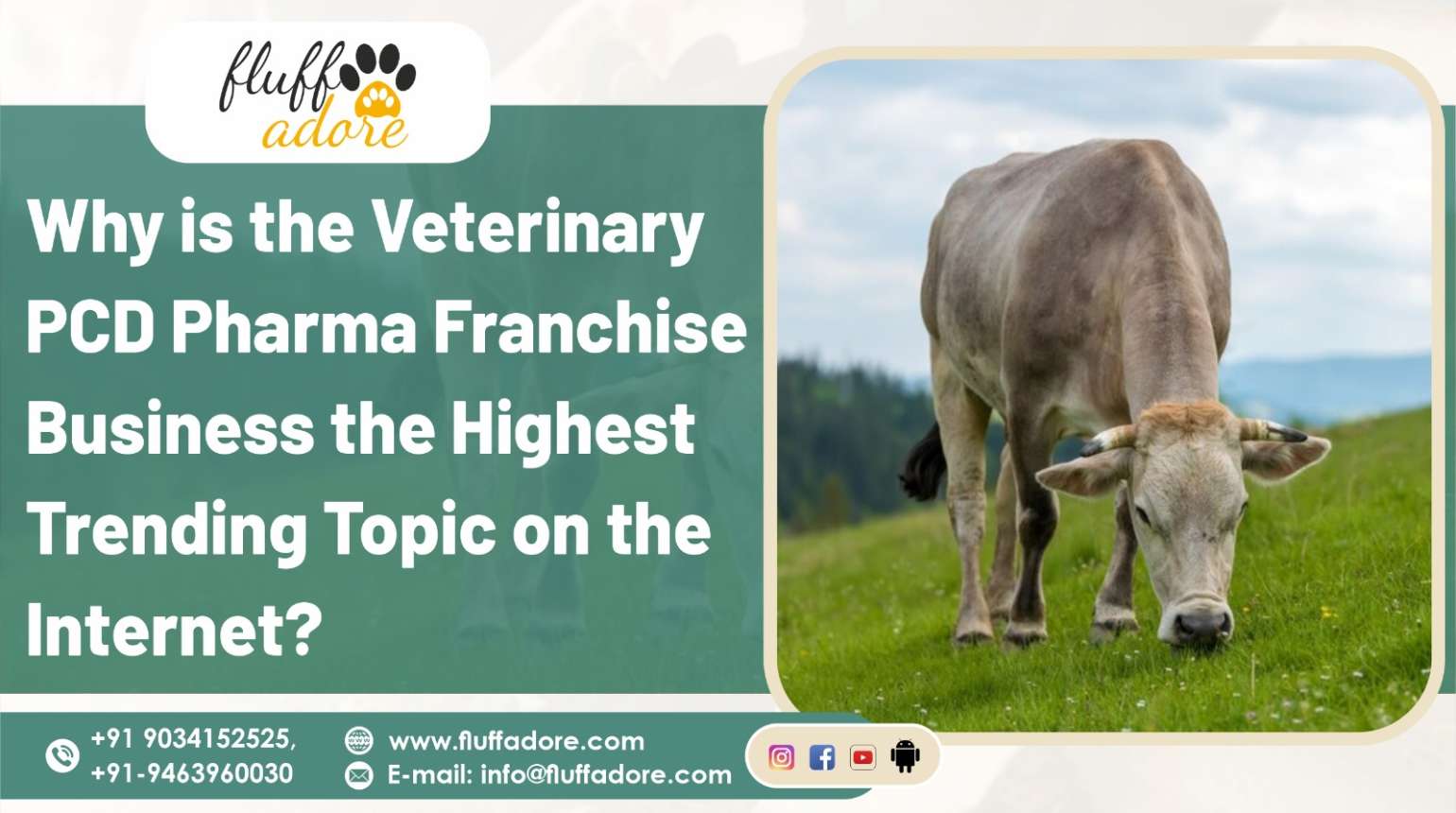 Why is the Veterinary PCD Pharma Franchise Business the Highest Trending Topic on the Internet?