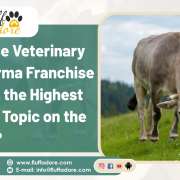 Why is the Veterinary PCD Pharma Franchise Business the Highest Trending Topic on the Internet?