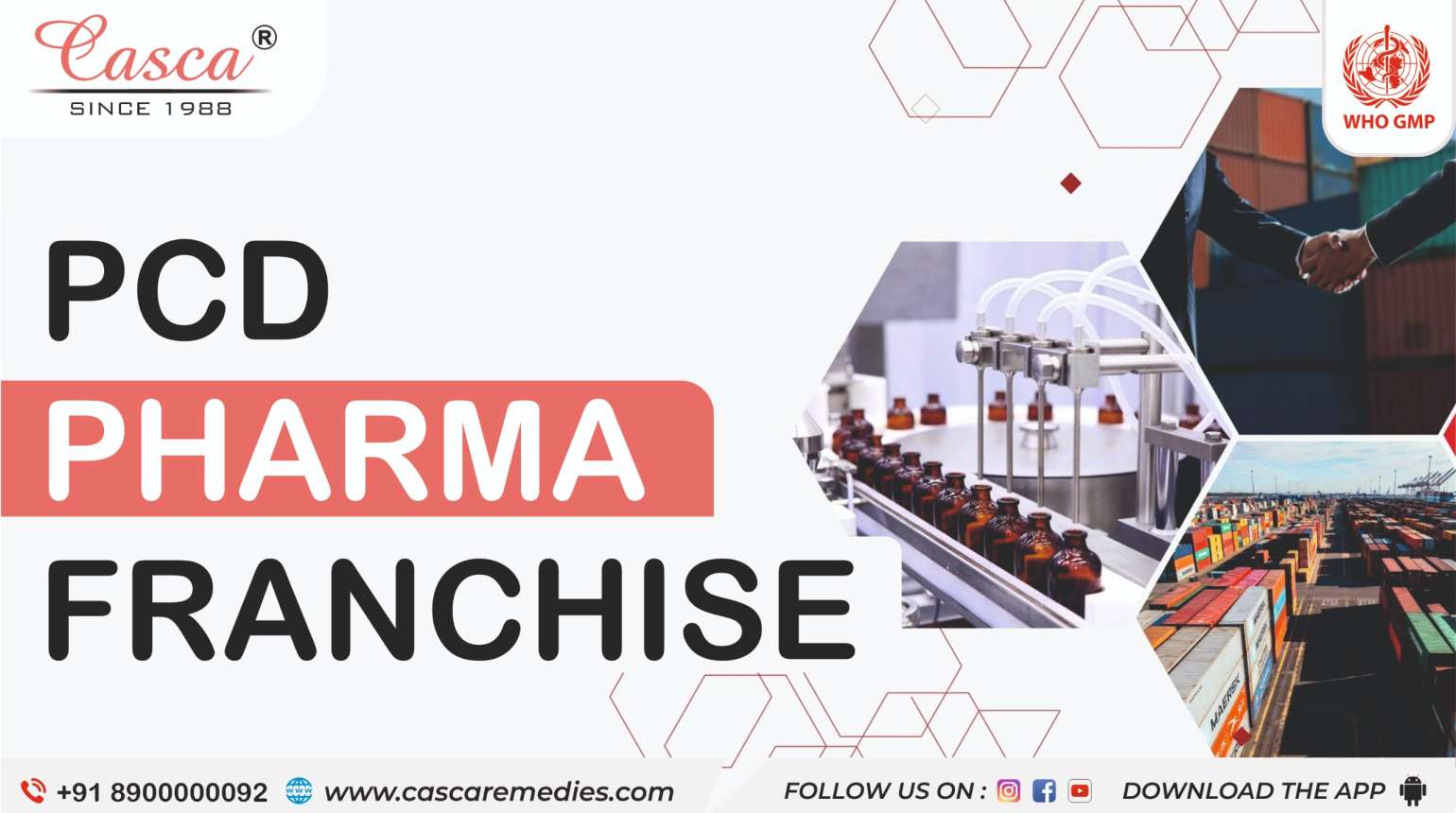 From Idea to Enterprise: Starting a Pharma Franchise Business in India