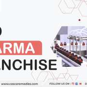 From Idea to Enterprise: Starting a Pharma Franchise Business in India